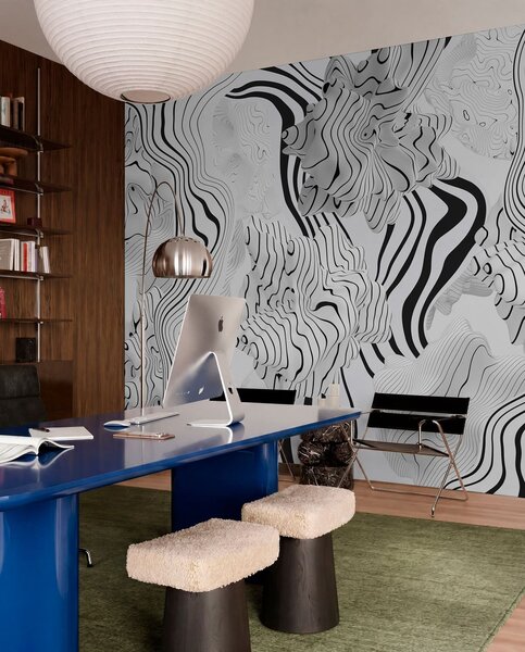 Fototapety abstraktní organické tvary ve 3D stylu v bílé a šedé barvě s černými pruhy, Fototapety černobílé, w04627 : uwalls.cz