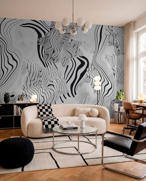 Fototapety abstraktní organické tvary ve 3D stylu v bílé a šedé barvě s černými pruhy, Fototapety černobílé, w04627 : uwalls.cz