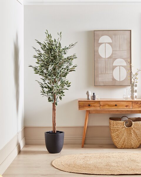 Umělá rostlina FICUS 167 cm Zelená