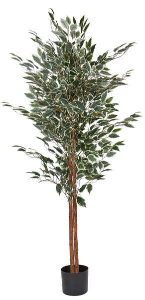 Umělá rostlina FICUS 167 cm Zelená