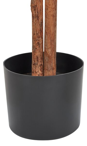Umělá rostlina FICUS 167 cm Zelená