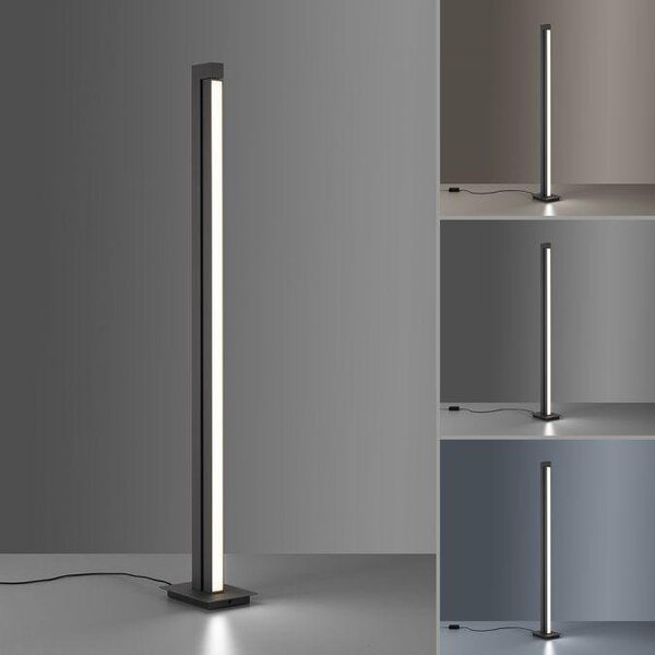 Paul Neuhaus Stojací LED lampa PURE-LINES, 20W, v. 140 cm, 2700-5000K Barva: Antracit