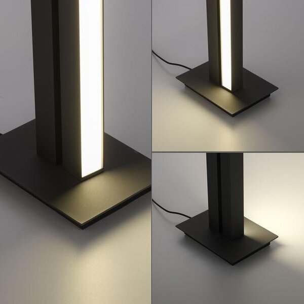 Paul Neuhaus Stojací LED lampa PURE-LINES, 20W, v. 140 cm, 2700-5000K Barva: Antracit