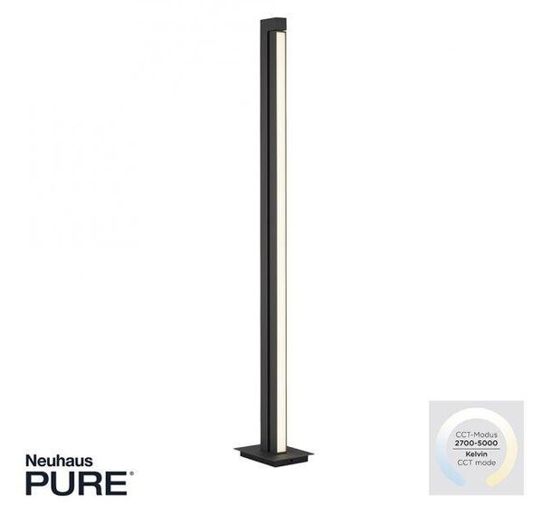 Paul Neuhaus Stojací LED lampa PURE-LINES, 20W, v. 140 cm, 2700-5000K Barva: Antracit