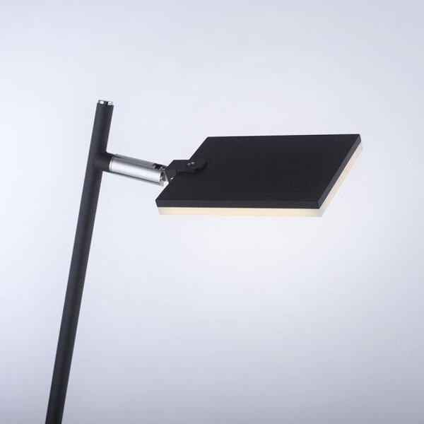 Paul Neuhaus Stojací LED lampa PURE MIRA 7,5W, v. 138 cm, 2700-5000K Barva: Hliník