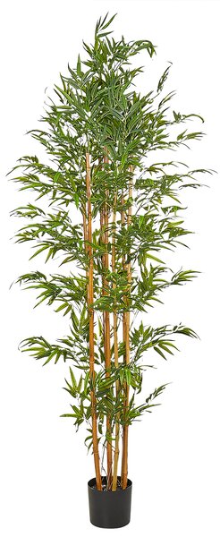 Umělá rostlina BAMBOO 220 cm Zelená