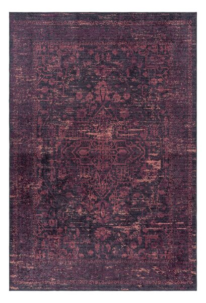 Ayyildiz, Moderní kusový koberec Fiesta 4304 red | Červená Typ: 80x150 cm