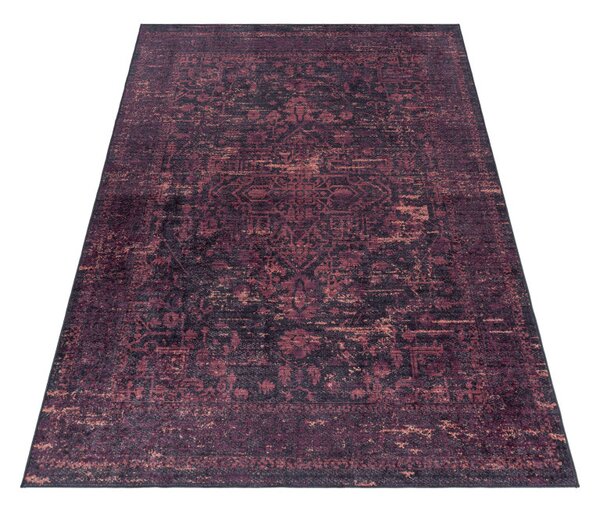 Ayyildiz, Kusový koberec Fiesta 4304 red, 80x150, červená, chodba / předsíň