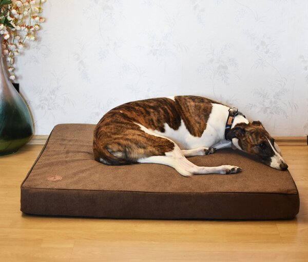 Lauren Design Ortopedická matrace pro psy Hector, hnědá Velikost: M - 70 x 60 cm