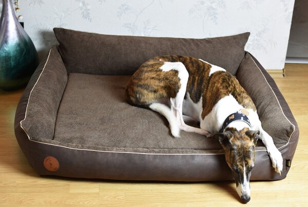 Lauren Design Pelech Rocky Orthopedic, hnědý Velikost: M (83 x 73cm)