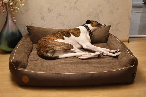 Lauren Design Pelech Rocky Orthopedic, hnědý Velikost: M (83 x 73cm)