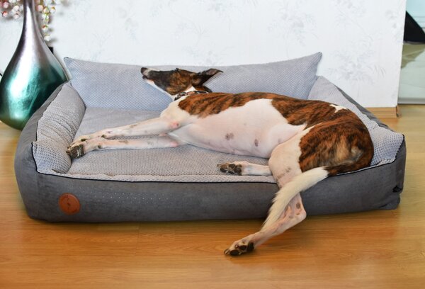 Lauren Design Pelech Rocky Orthopedic, šedý Velikost: L (97 x 86cm)