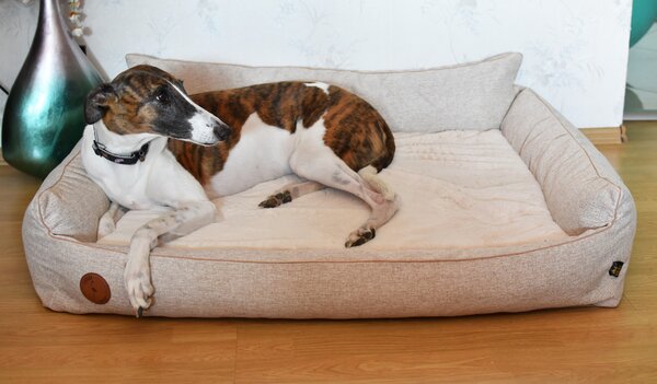 Lauren Design Pelech Rocky Orthopedic, NATUR béžový Velikost: L (97 x 86cm)