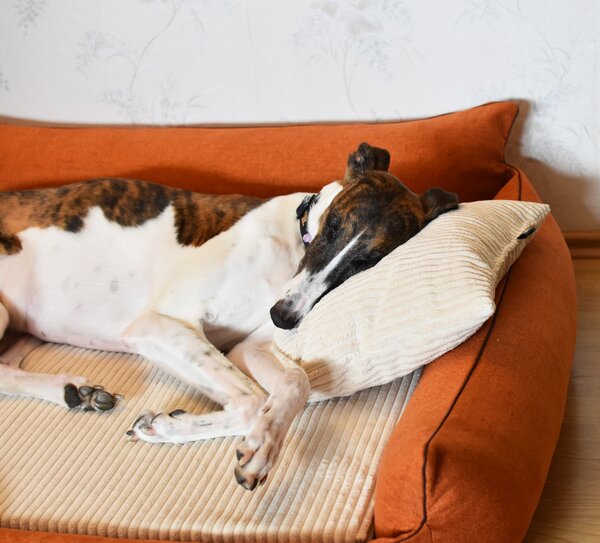 Lauren Design Pelech Rocky Orthopedic, měděný Velikost: M (83 x 73cm)