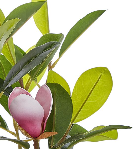 Umělá rostlina MAGNOLIA 70 cm Zelená