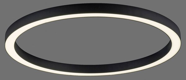 PURE LED stropní svítidlo Lines, Ø 70 cm, antracitová, dálkové ovládání, stmívatelný, Černá, Obývací pokoj / jídelna, Hliník, Moderní