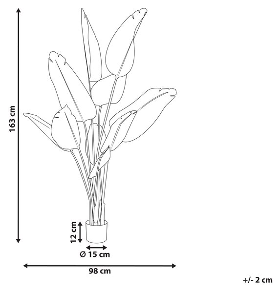 Umělá rostlina BANANA TREE 163 cm Zelená