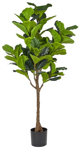 Umělá rostlina FIG TREE 162 cm Zelená
