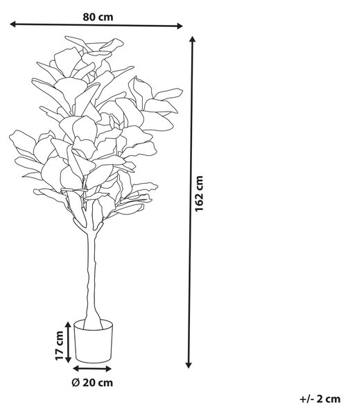 Umělá rostlina FIG TREE 162 cm Zelená