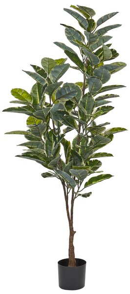 Umělá rostlina FICUS ELASTICA 160 cm Zelená