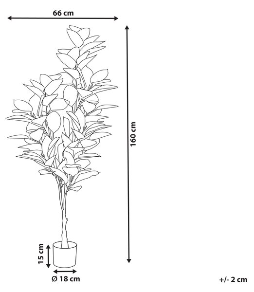 Umělá rostlina FICUS ELASTICA 160 cm Zelená