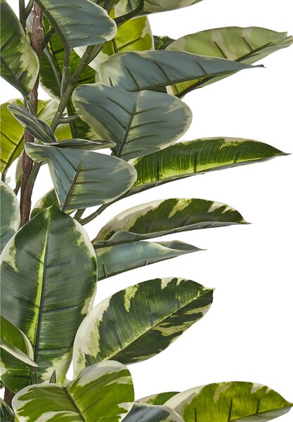 Umělá rostlina FICUS ELASTICA 160 cm Zelená