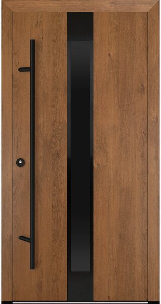 FM Turen - Feldmann & Mayer Vchodové dveře s ocelovým opláštěním FM Turen model DS25 blackline