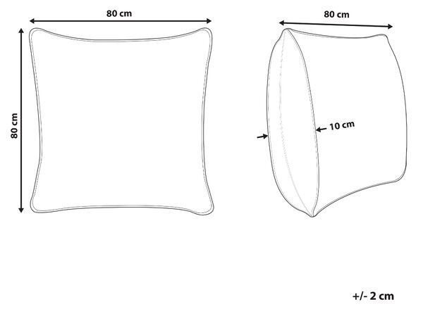 Sada 2 polštářů TRIGLAV Nízká Polyester 80 x 80 cm Bílá