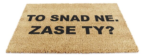 Rohožka z kokosového vlákna 40x60 cm Zase Ty? – Artsy Doormats