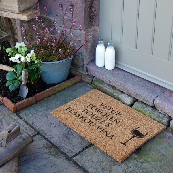 Rohožka z kokosového vlákna 40x60 cm Flaška Vína – Artsy Doormats
