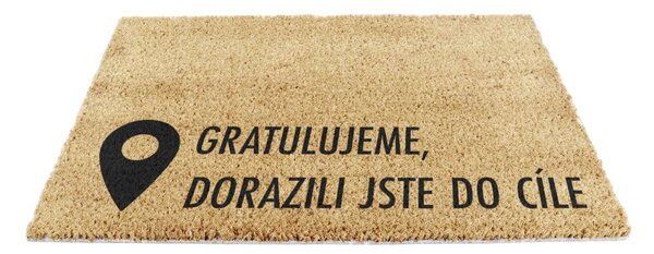 Rohožka z kokosového vlákna 40x60 cm Pin – Artsy Doormats