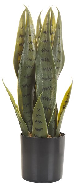 Umělá rostlina SNAKE PLANT 40 cm Zelená