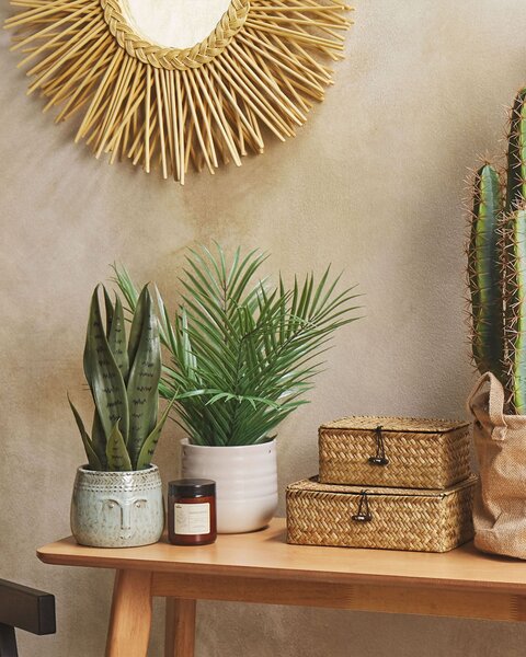 Umělá rostlina SNAKE PLANT 40 cm Zelená