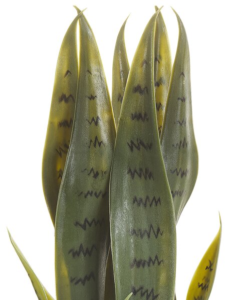 Umělá rostlina SNAKE PLANT 40 cm Zelená