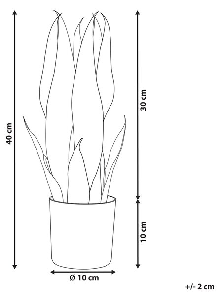 Umělá rostlina SNAKE PLANT 40 cm Zelená