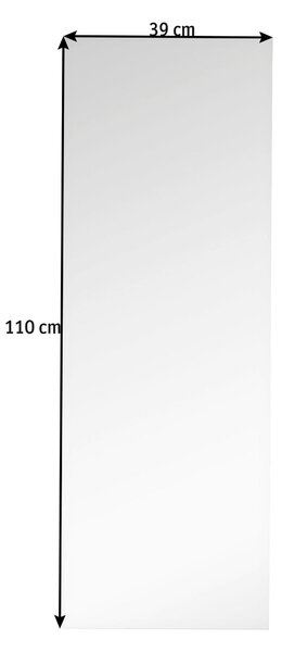NÁSTĚNNÉ ZRCADLO 39/110/0,3 cm Carryhome