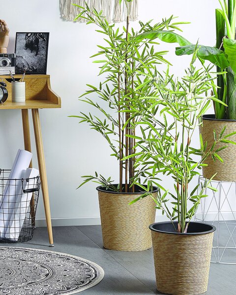 Umělá rostlina BAMBUSA VULGARIS 100 cm Zelená