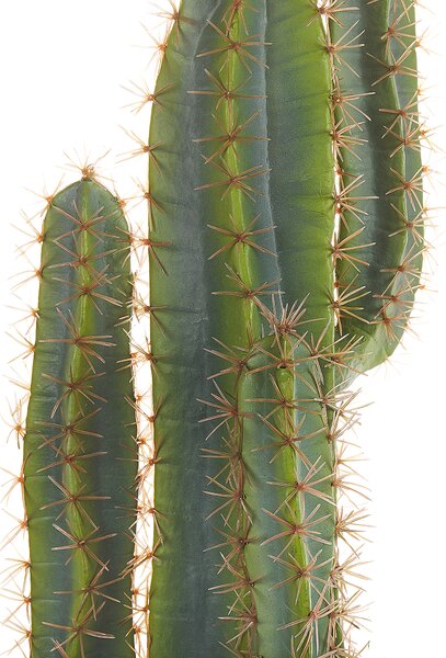 Umělá rostlina CACTUS 78 cm Zelená