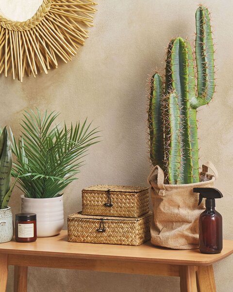 Umělá rostlina CACTUS 78 cm Zelená