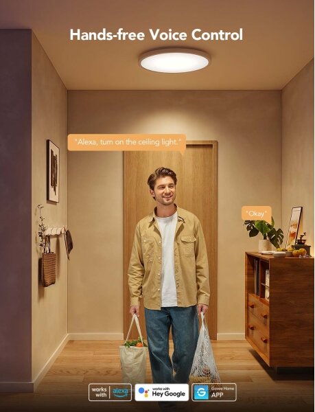 Govee - LED RGBICWW Stmív. stropní svítidlo LED/29W/230V pr. 30cm Matter Wi-Fi