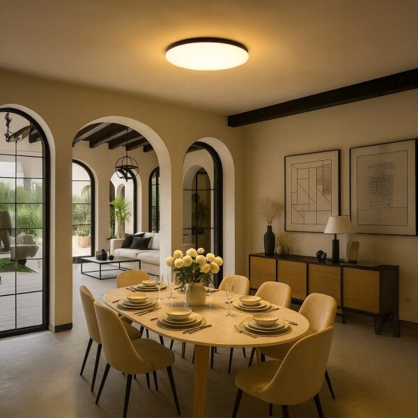 LED Stmívatelné stropní svítidlo SIENA LED/80W/230V 3000-6000K pr. 75cm černá+DO