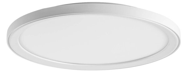 BRUMBERG LED stropní svítidlo Sunny Midi, DALI, 3 000 K, bílé, stmívatelný, Bílá / opál, Obývací pokoj / jídelna, Hliník, Moderní