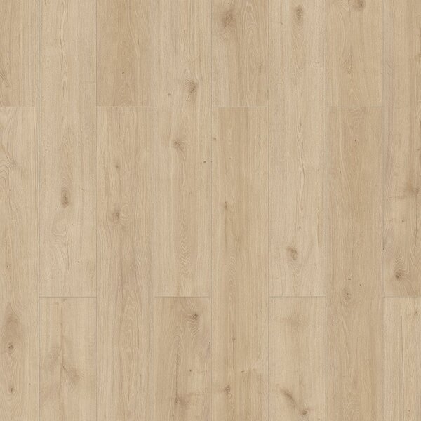 Classen Skyline XL Amado 56194