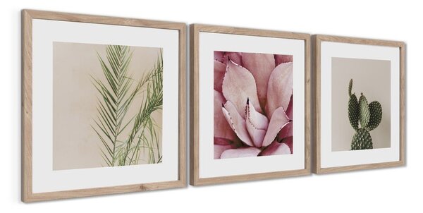 Tištěné obrazy v sadě 3 ks s rámem 30x30 cm Fresh – Styler