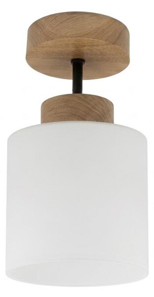BRILAGI - LED Přisazený lustr RETRO GLASS 1xE27/60W/230V pr. 10 cm dub/bílá