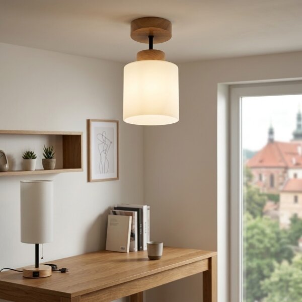 BRILAGI - LED Přisazený lustr RETRO GLASS 1xE27/60W/230V pr. 10 cm dub/bílá