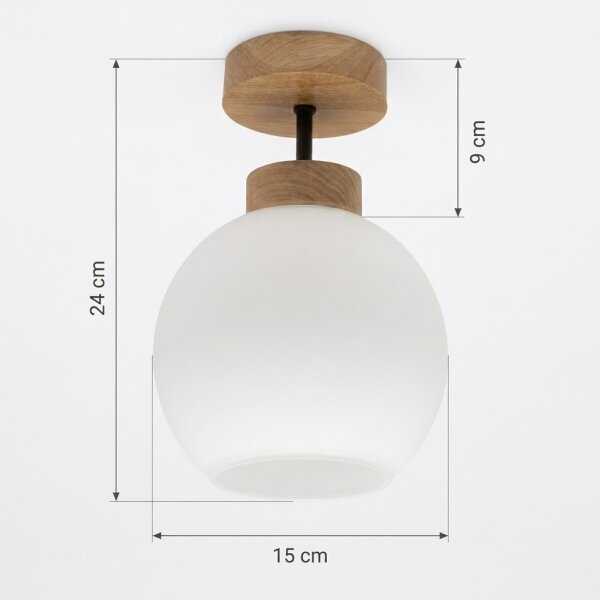 BRILAGI - LED Přisazený lustr RETRO GLASS 1xE27/60W/230V pr. 15 cm dub/bílá