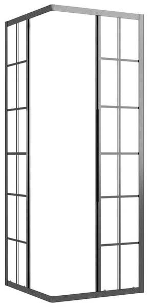 Sprchová zástěna BestBerg 151859 / 70 × 70 × 180 cm / černá/transparentní
