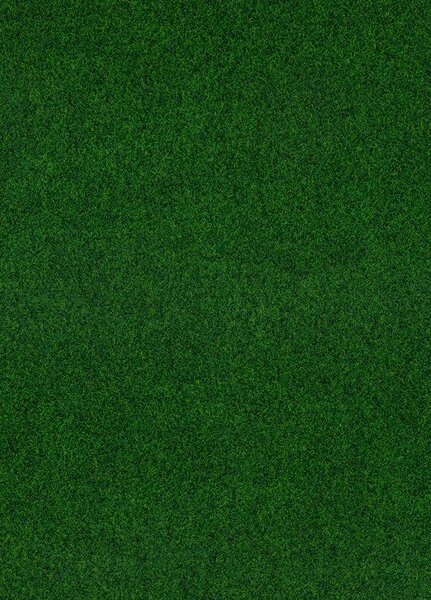 Breno Umělá tráva MEADOW 0630, šíře 200 cm, Zelená