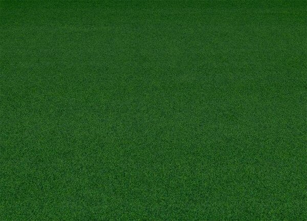 Breno Umělá tráva MEADOW 0630, šíře 200 cm, Zelená